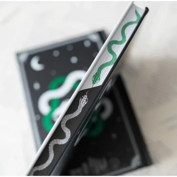 LitJoy Sister Snake by Amanda Lee Koe - November 2024 To Bee Read Box Book - Picture 4 of 14